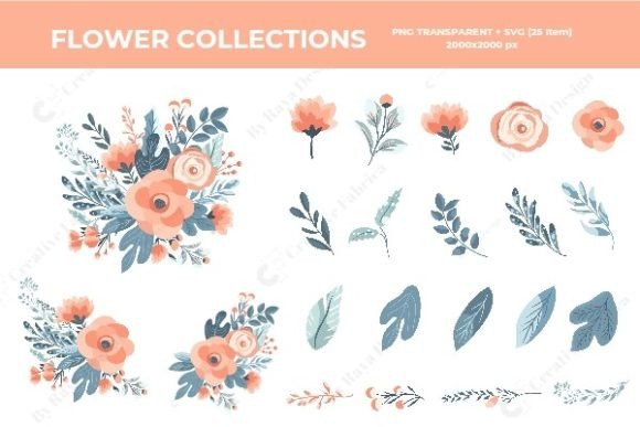 Beautiful Flower Collections
