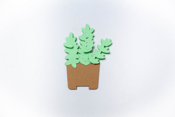 Potted Donkey Tail Succulent Layered Plant