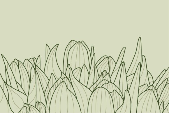 Tulip Flower Background Green